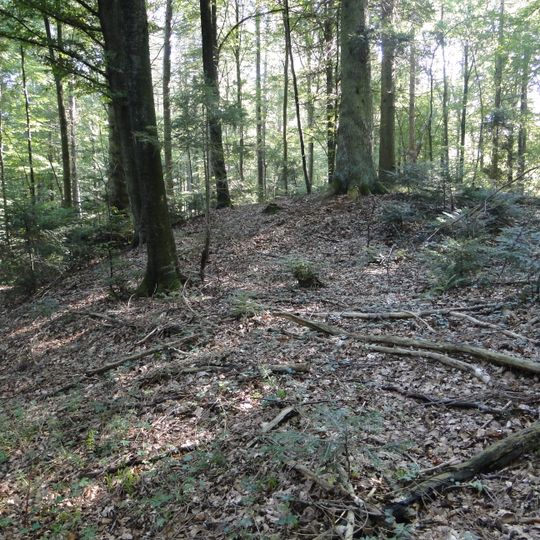 Hallstattzeitliche Grabhügelgruppe