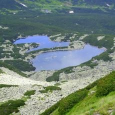 Dwoisty Staw Zachodni