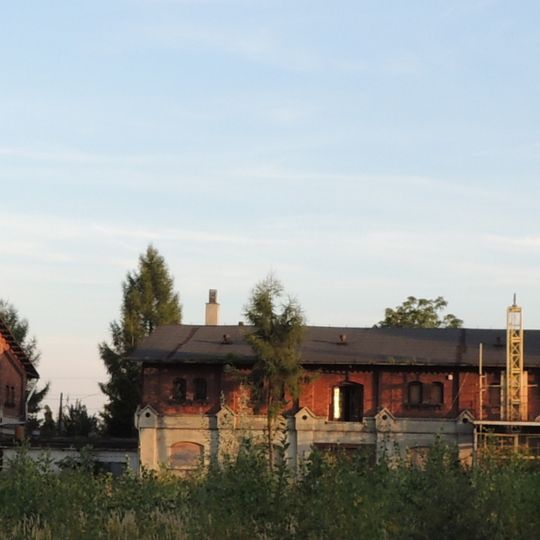 D. folwark Scheiblera