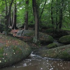 Mlecí kameny ve Voděradských bučinách
