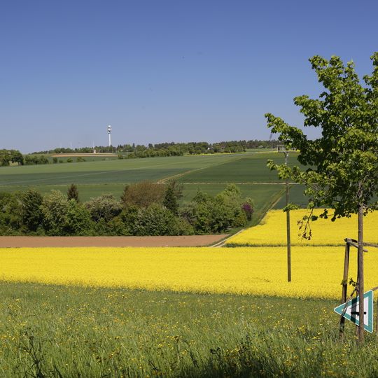 Halbtrockenrasen Steige