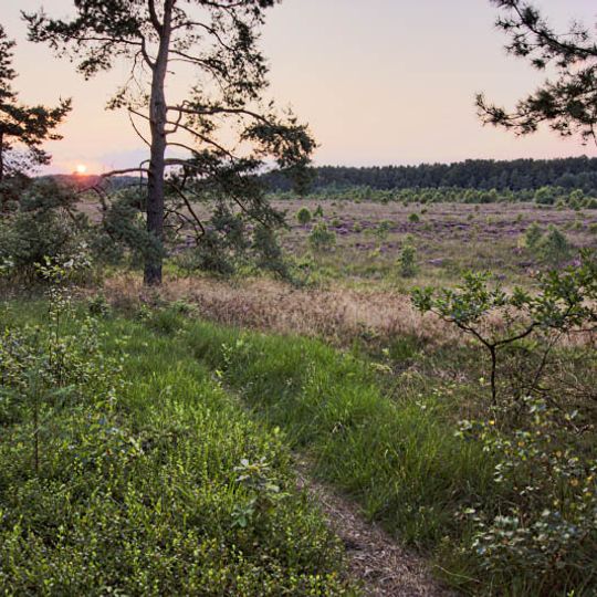 Heilsmoor und Springmoor