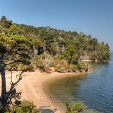 Shell Beach