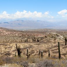 Los Cardones National Park