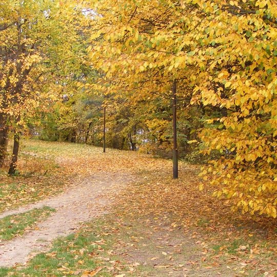 Park miejski w Olecku