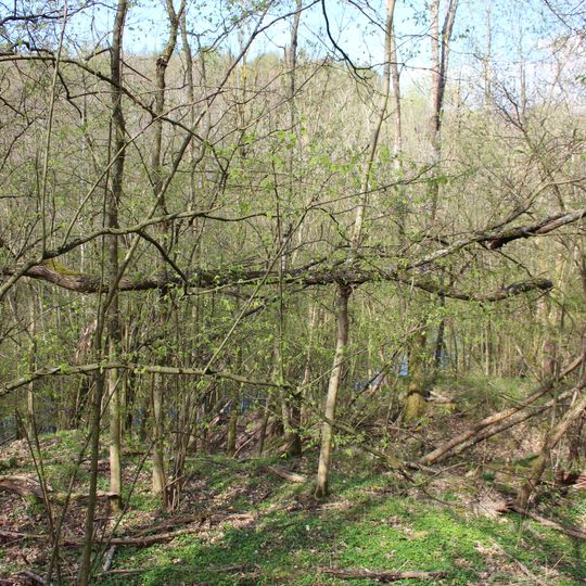 Tongrube Beckershaid