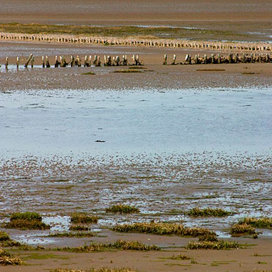 Parque nacional del mar de Frisia