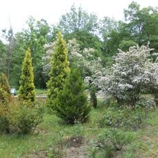 Dnipro Botanical Garden
