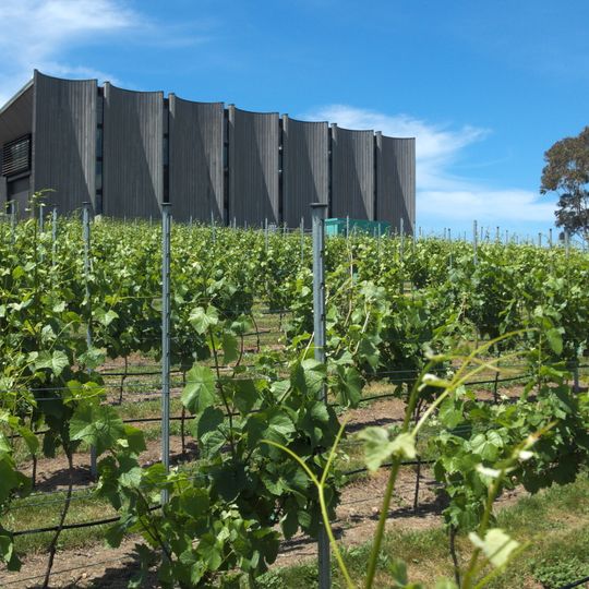 Moorilla Estate