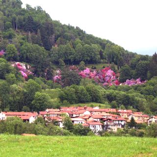 Riserva naturale del Parco Burcina-Felice Piacenza