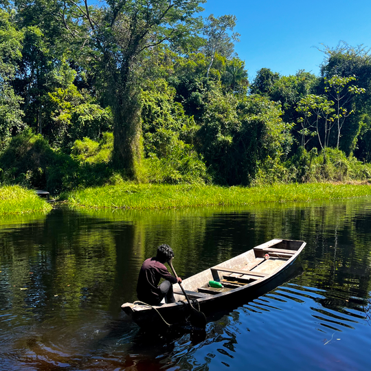 Rio Ouro Preto Extractive Reserve