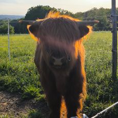 Parc animalier des portes du Périgord