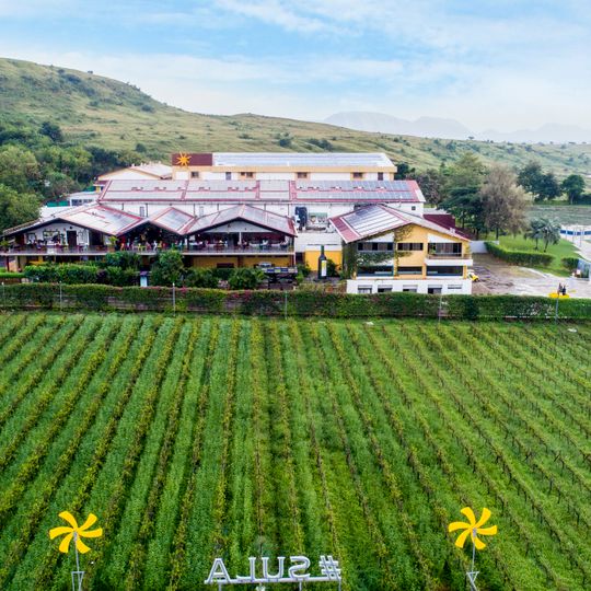 Sula Vineyards