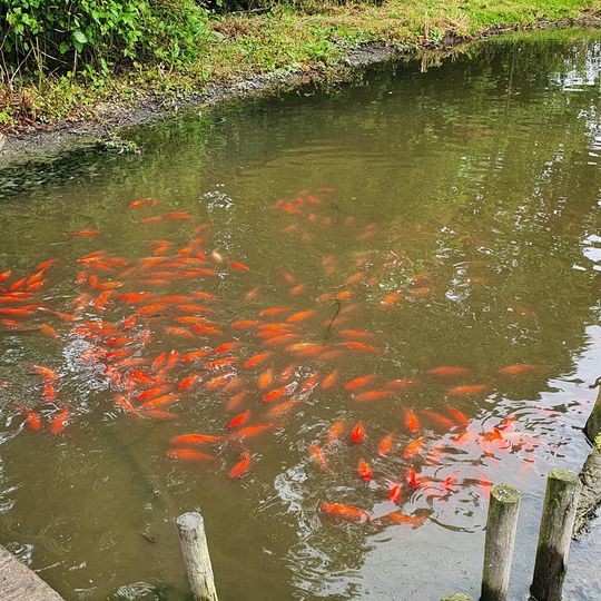 DoeZoo Insektenwereld