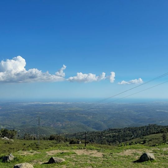 Viewpoint of the FOIA