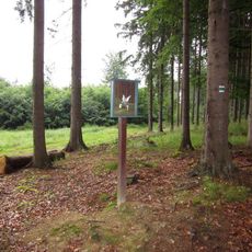 Obrázek východně od Hořehled u rozcestí