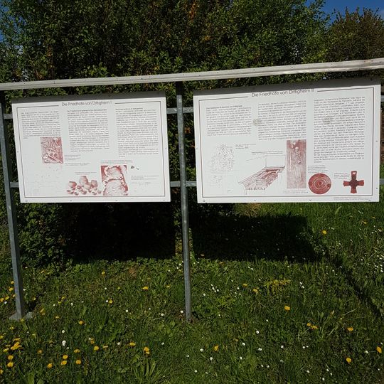 Schnurkeramikgräberfeld von Dittigheim