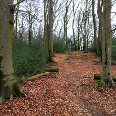 Wald- und Talbereiche östlich Schloss Oefte
