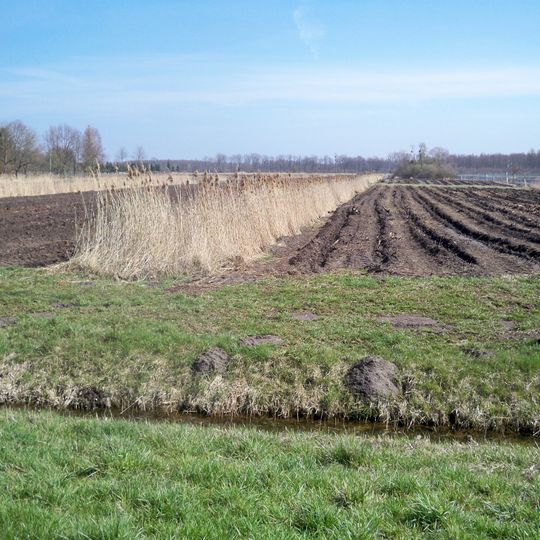 Schulenburgscher Drömling