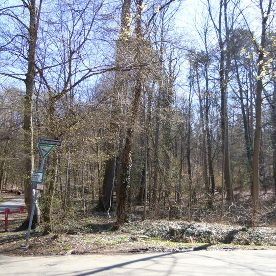 Waldgebiet auf der Südostseite der Innenstadt