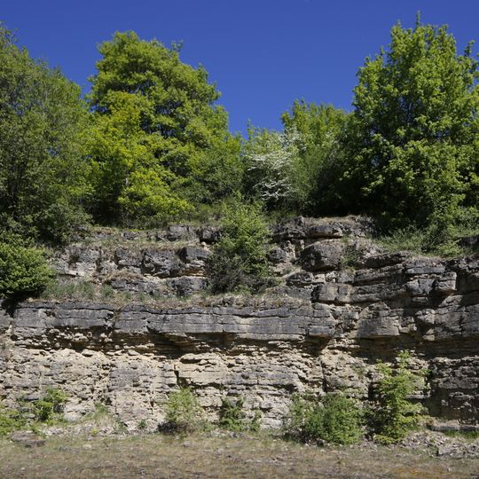 Halbtrockenrasen u. Steinbruch Weingarthalde in Deckenpfronn