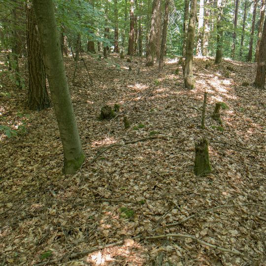 Abschnittsbefestigung Kalmusfels