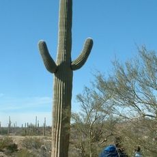 Arizona-Sonora Desert Museum