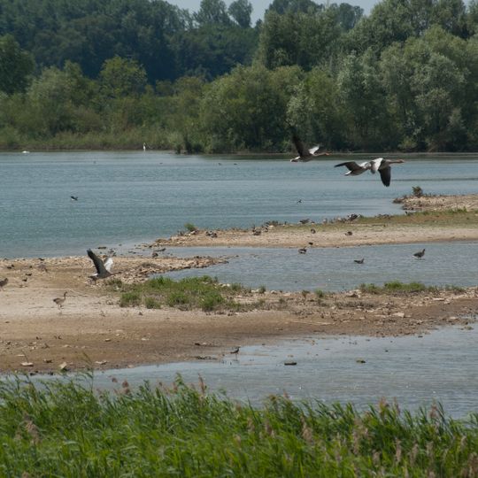 Schwäbisches Donaumoos