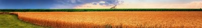 Panoramic View 0