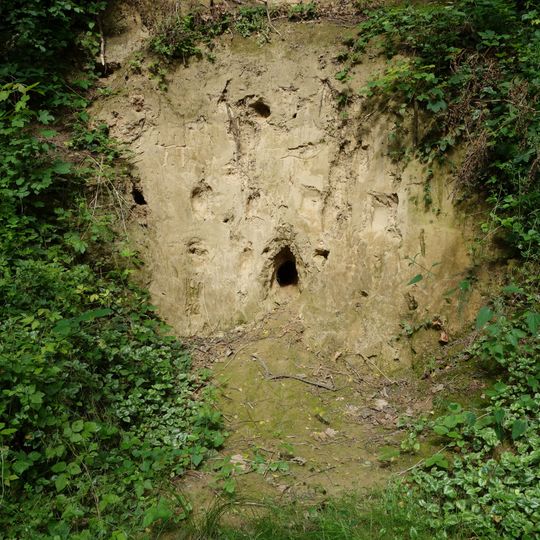 NSG Tongruben am Ratinger Weg