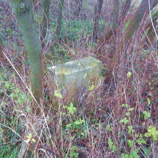 Kříž severovýchodně od Puclic