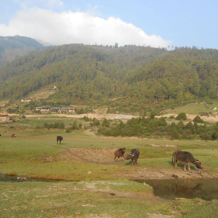 Dhorpatan Wildlife Reserve