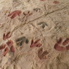 Corcolilla ichnological site