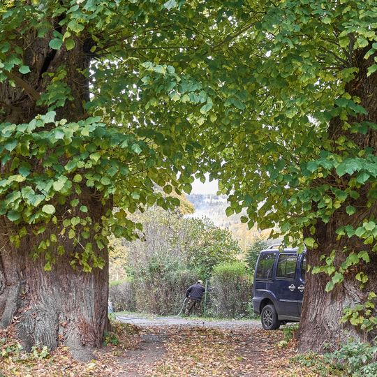 Lípy u kapličky v Ondřejově