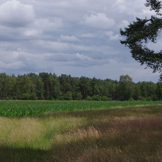 Rodewalder Wiehbuschwiesen
