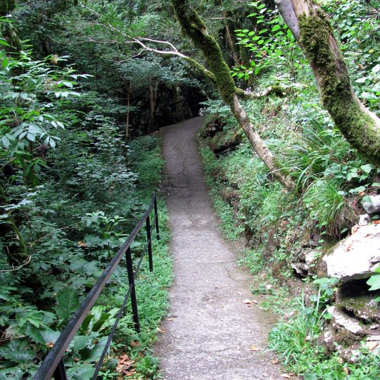 Yew-tree and Boxwood Tree Grove
