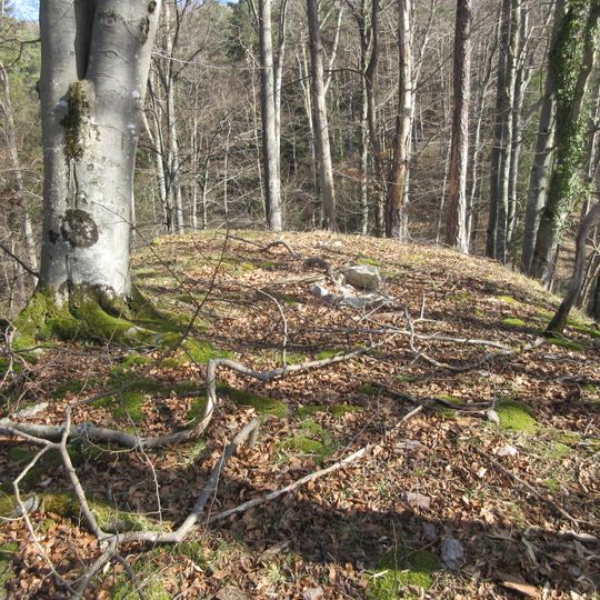 Burgstelle Altschloss