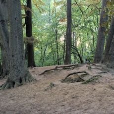 Roodebeek Park