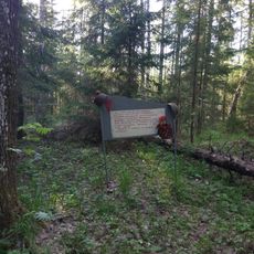 Partisan Camp in Luzhsky District