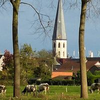 Kruibeke