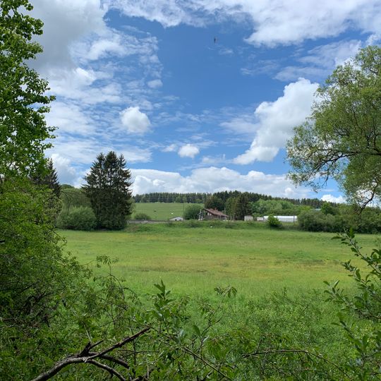 NSG Glaadtbachtal mit Nebenbaechen