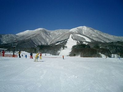 Winter 2