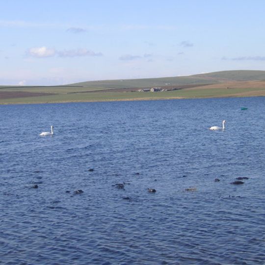 Brodgar RSPB Reserve