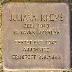Juliana Krems