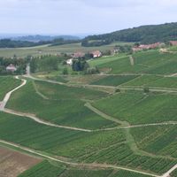 Menétru-le-Vignoble