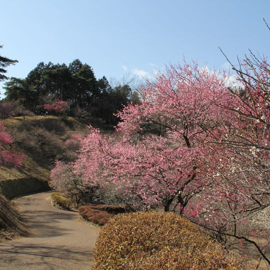 Ōme Plum Park