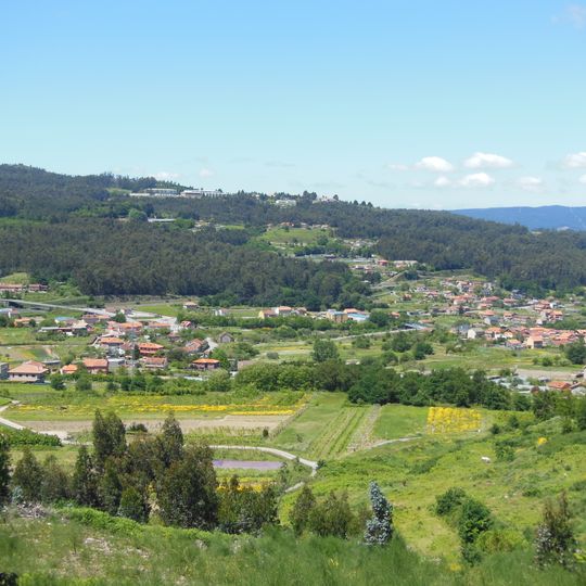 Figueirido