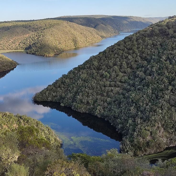 Tajo Internacional naturpark
