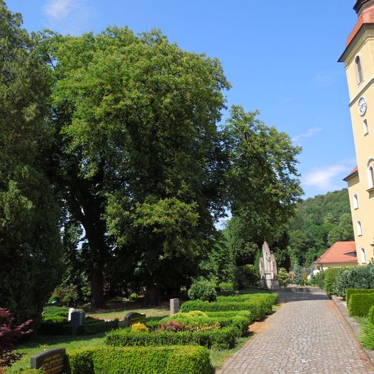 Kastaniengruppe auf dem Friedhof