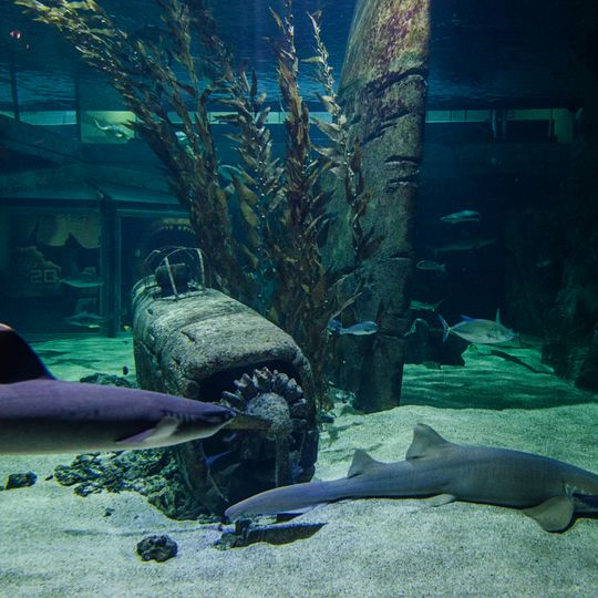 Seaquarium du Grau-du-Roi